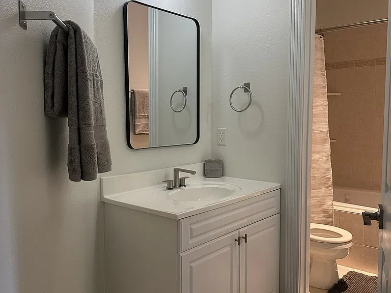 Guest bathroom