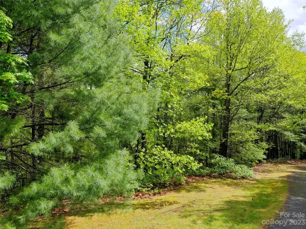 7 Ben Hi Dr, Saluda, NC 28773