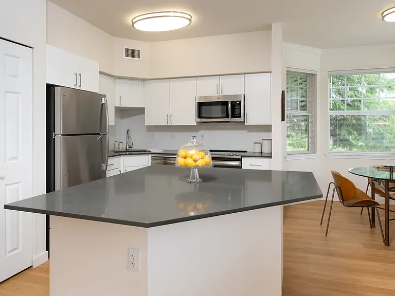 Phase 1 Kitchen and Dining Room
