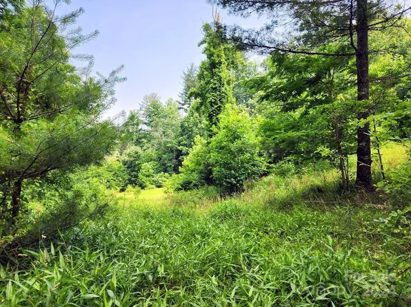 0 Hickory Nut Ridge Rd #10, Burnsville, NC 28714