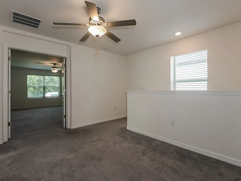 7337 Spring Snowflake Ave — Photo 14