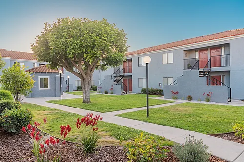 Citrus Court Apartments Photo 1