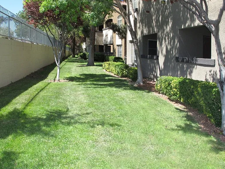 YARD FOR PET