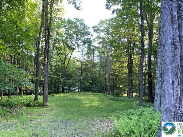 1521 Lake Ln, Pocono Lake, PA 18347