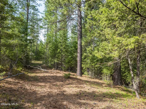 Nka Wilderness Rd, Naples, ID 83847