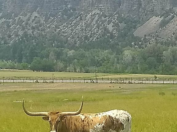 3rd image of 125 Pasture Pl