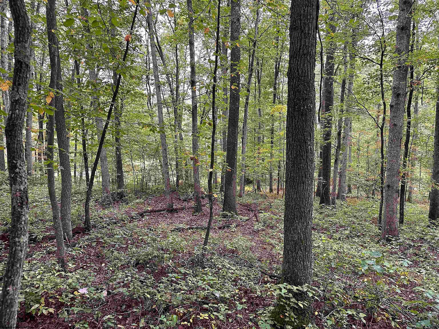 2 Deckers Trail Rd, Masontown, WV 26542 MLS 10151262 Zillow