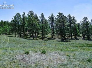 6th St, Guffey, CO 80820