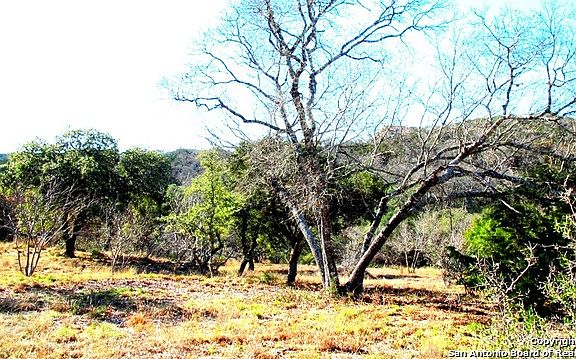 3rd image of 25504 Creekside Cv