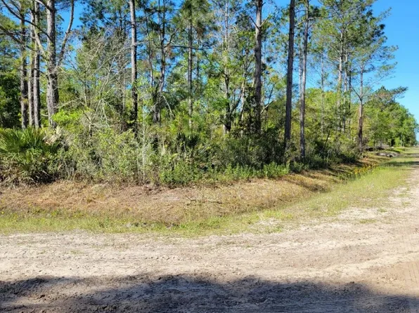 5105 Jonathan St, Hastings, FL 32145