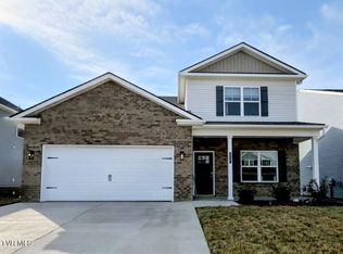 237 Chimney View Loop, Blountville, TN 37617