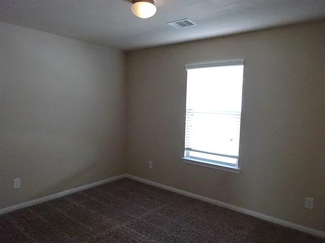 19534 Aventine Plantation Dr — Photo 7