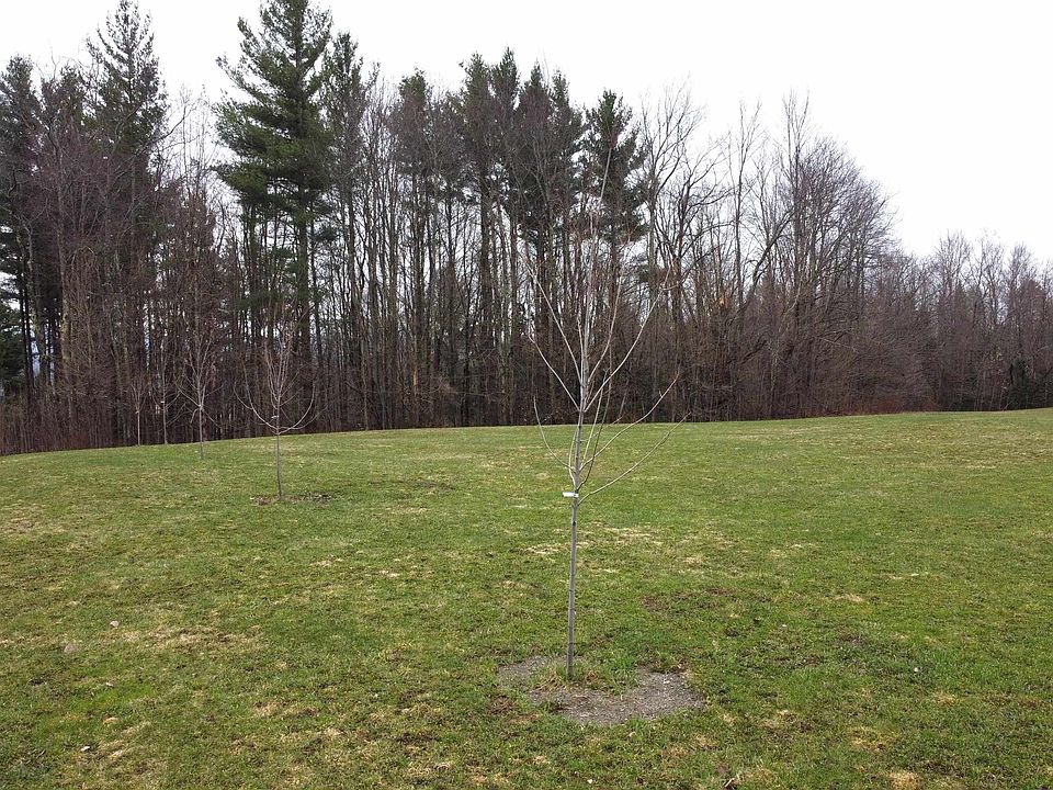 1st image of 315 North Hill Road