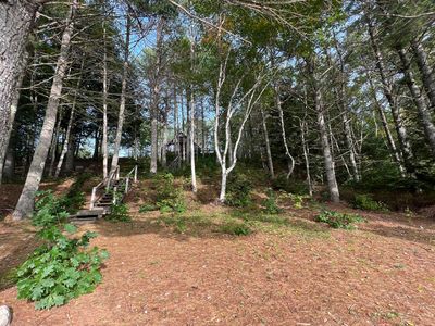 721 E Beddington Lake Road, Cherryfield, ME, 04622
