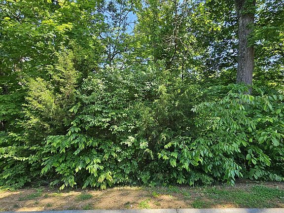 3rd image of LOT 15 Saddleback Way