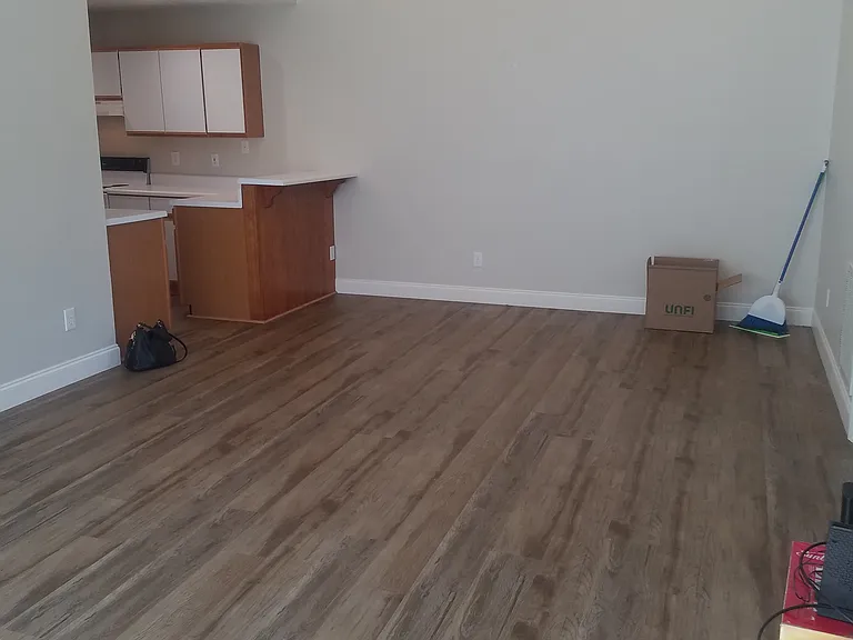 4404 Jasmine Cove Way — Photo 5