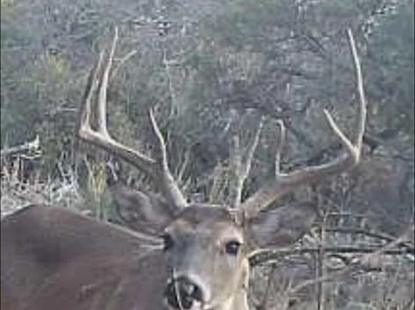 1512 Persimmon Rd #35, Eldorado, TX 76936