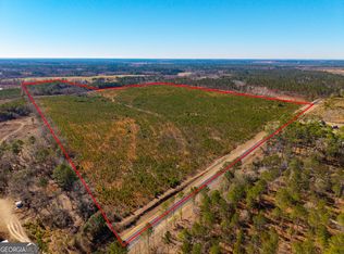 1 Henry Moxley Rd, Cobbtown, GA 30420