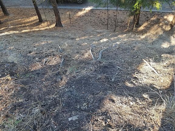 5th image of Nka Ponderosa Dr
