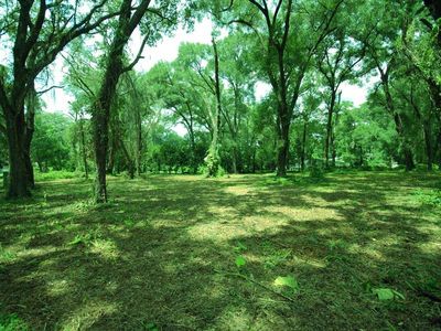 5217 Pine St, Seffner, FL, 33584