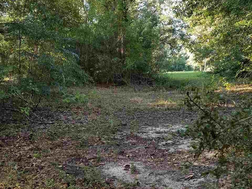 2nd image of 0 Michelle Ln