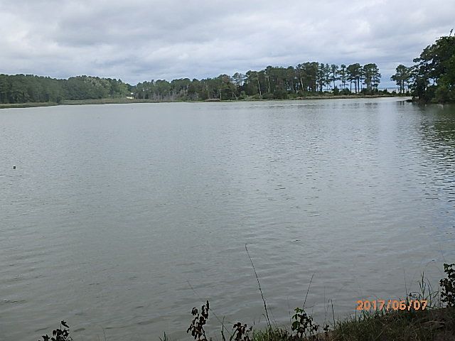 Presley Creek,Potomac beyond