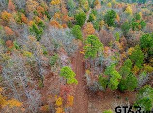 N Highway 259, Lone Star, TX 75668