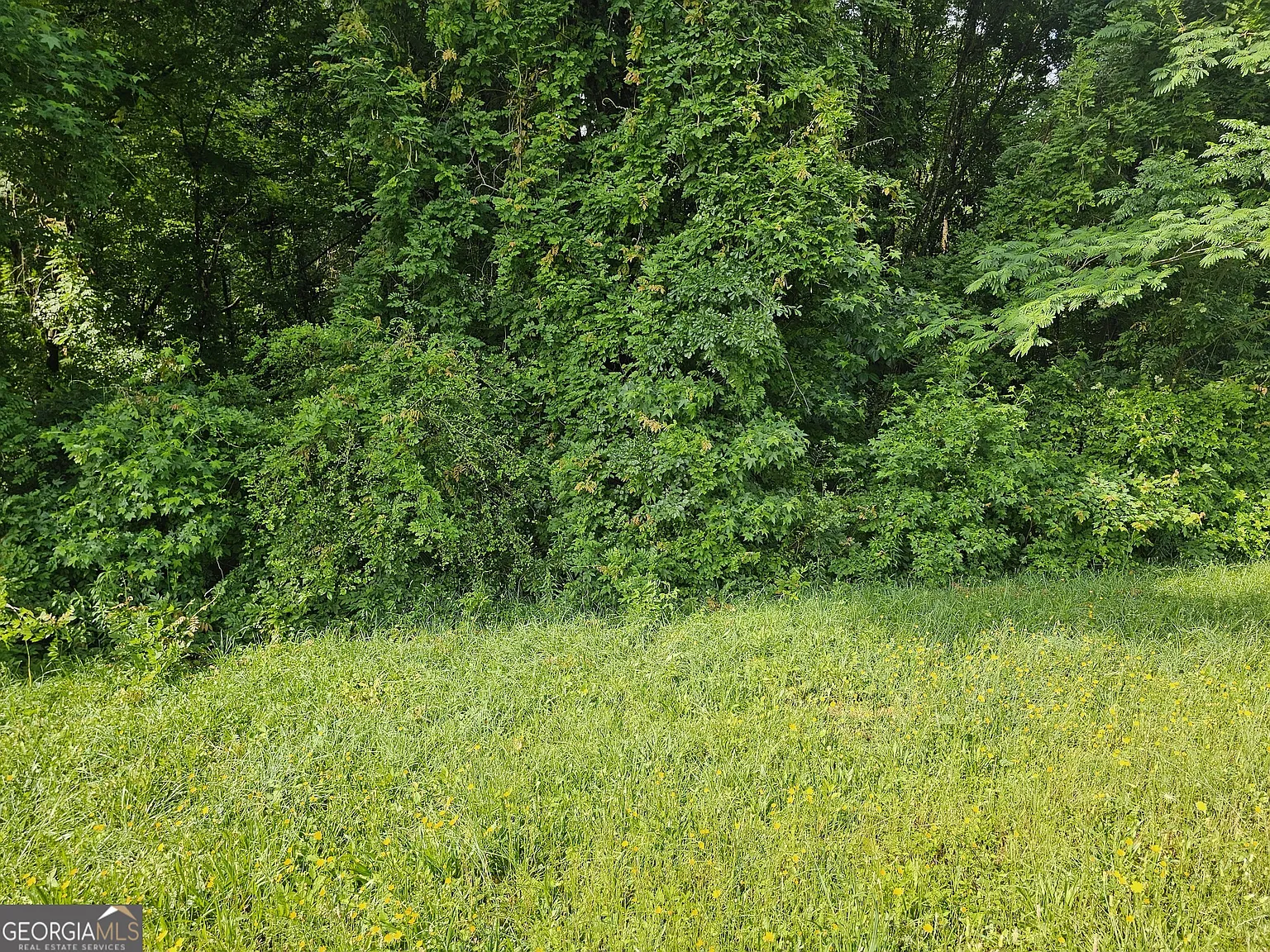 12109 Brown Bridge Rd photo 1