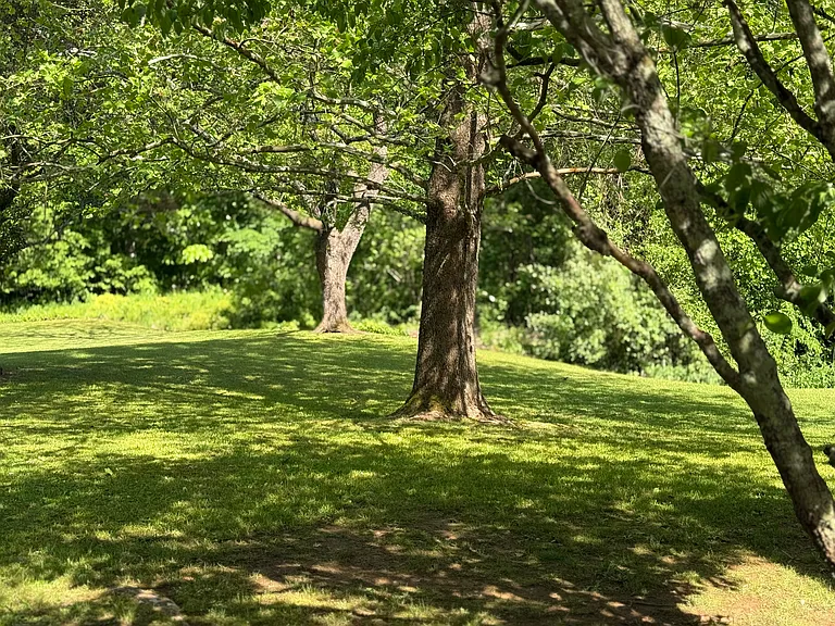 85 Blankenship Dr — Photo 14