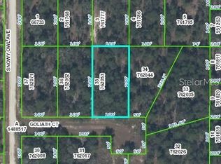 0 Goliath Ct Lot 35, Brooksville, FL 34614