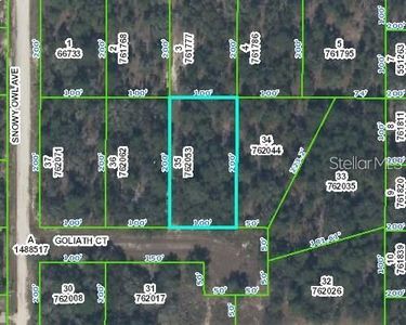 0 GOLIATH COURT LOT 35, Brooksville, FL, 34614
