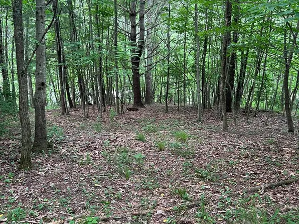 Timberline Rd, Troutdale, VA 24378
