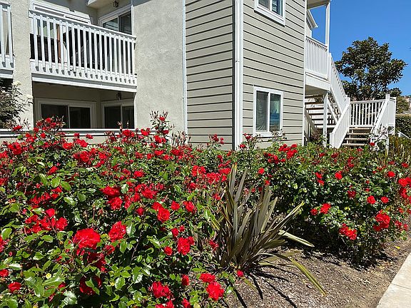 View of patio off kitchen