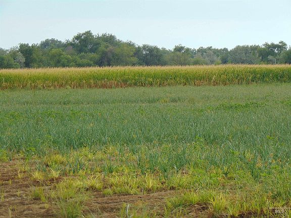 2nd image of 247 Boat Landing Rd