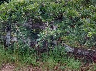 1771 Mill Pond Rd, Denmark, SC 29042