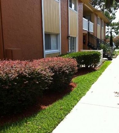 walkway to buildings