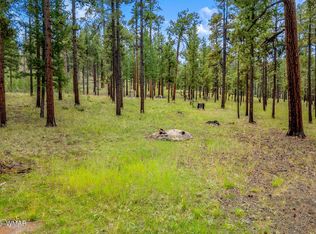 16 1062nd, Greer, AZ 85927