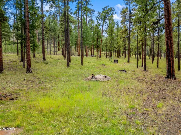 16 1062nd, Greer, AZ 85927