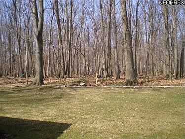 4th image of 32594 Carriage Ln
