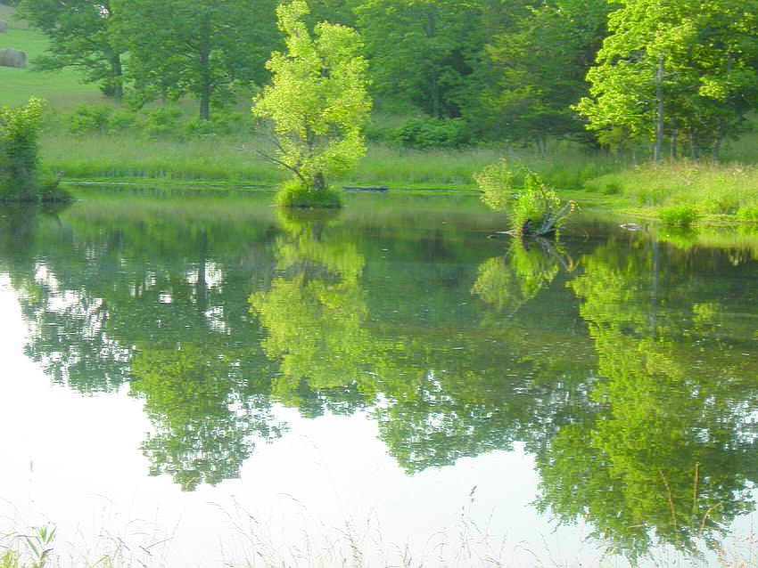 2nd image of 4188 Upper Mill Creek Rd
