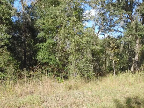 SE 25th St Lot 8, Morriston, FL 32668