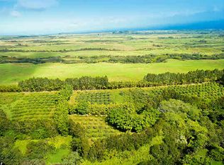 27 629 Old Onomea Rd LOT 8, Papaikou, HI 96781