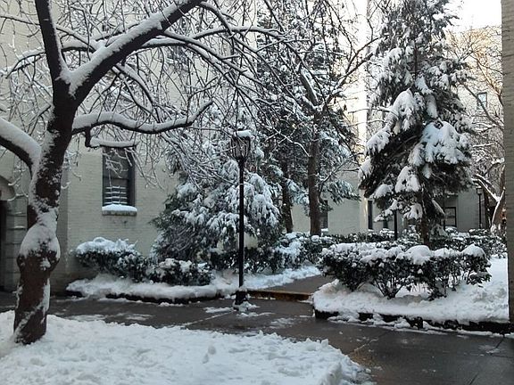 3rd image of 2157 33rd St APT 1