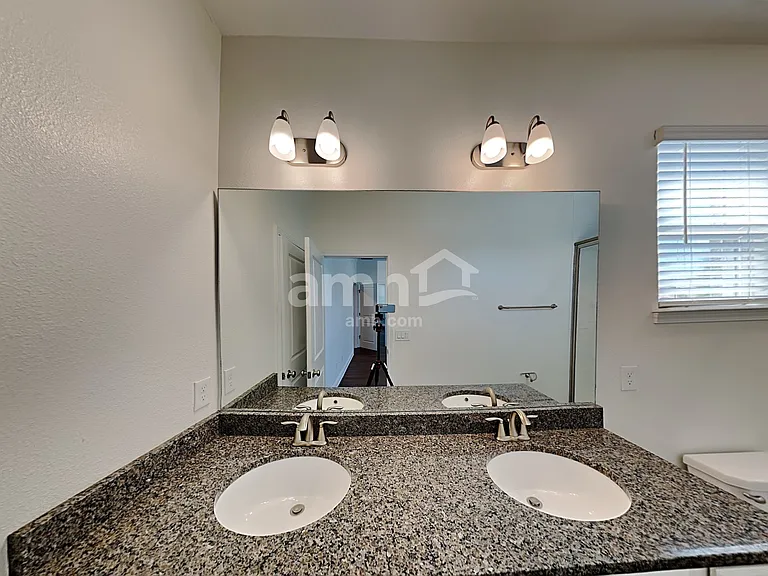 1306 Celery Palm Cv — Photo 13