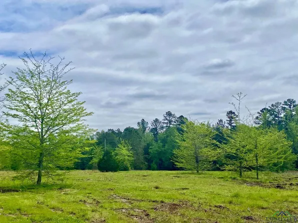 Fm 1844, Gilmer, TX 75645