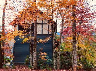 46 Cheshire Dr, Black Mountain, NC 28711