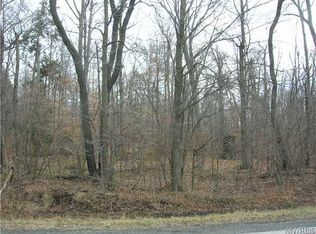 0 Greenbush Rd, Akron, NY 14001