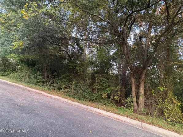 Tbd Mckinnon Road, Rockingham, NC 28379