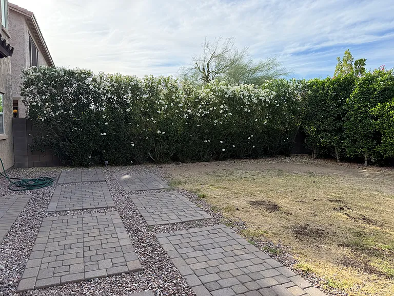 back yard in April 2026