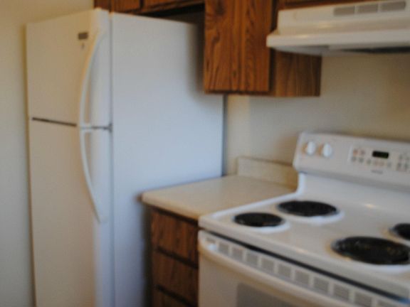 Frigidaire Refrigerator 
